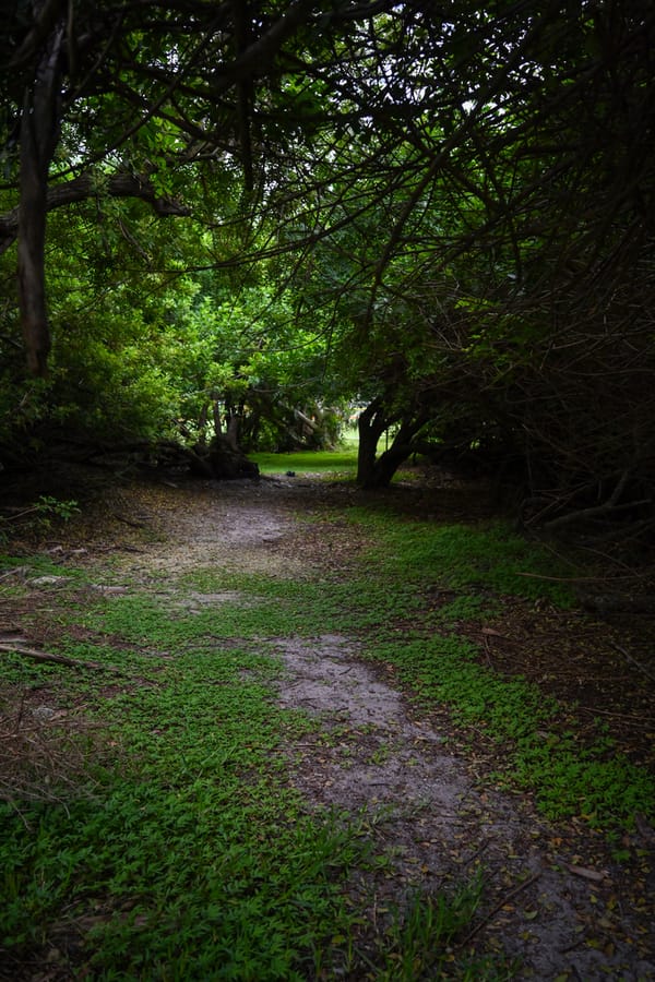 20250917_WellfieldPark_049_SD