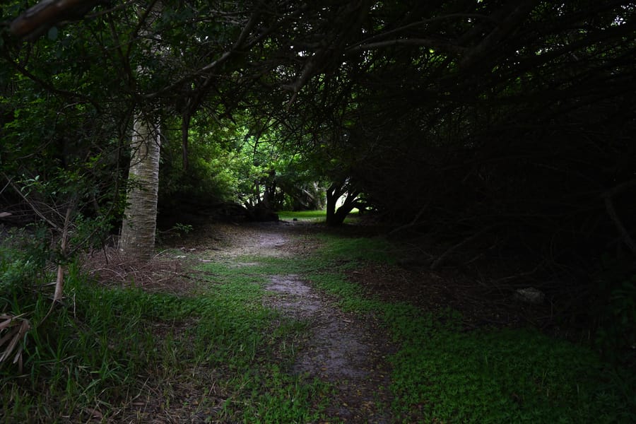 20250917_WellfieldPark_048_SD