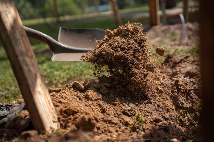 Canine Club Tree Planting_CD-12
