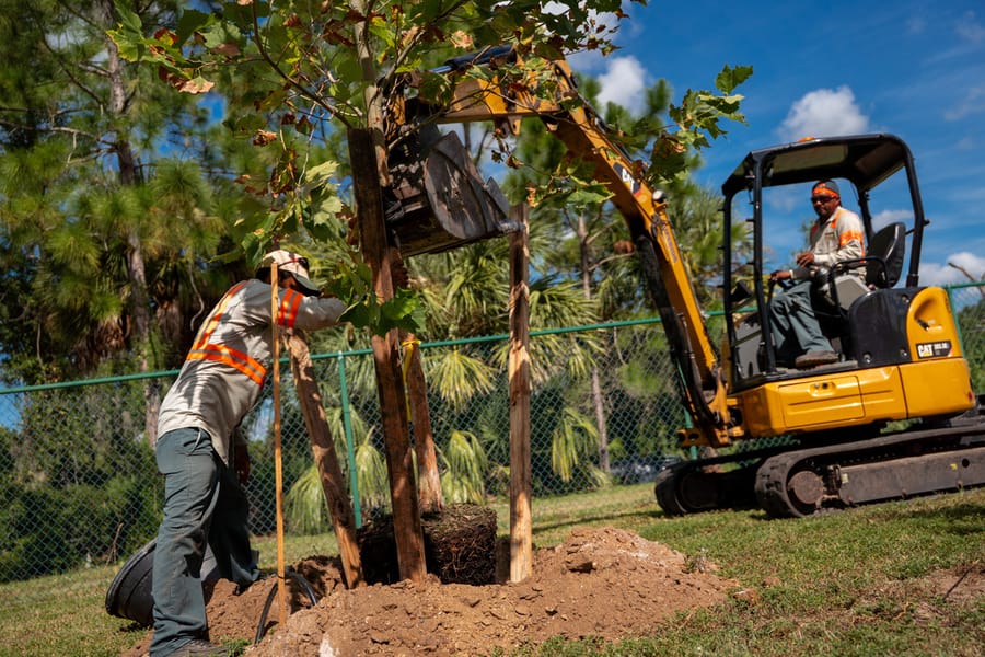 Canine Club Tree Planting_CD-4