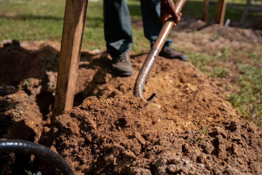 Canine Club Tree Planting_CD-6