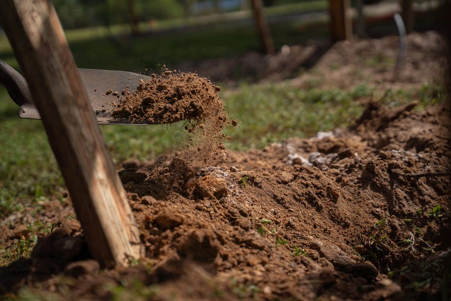 Canine Club Tree Planting_CD-11