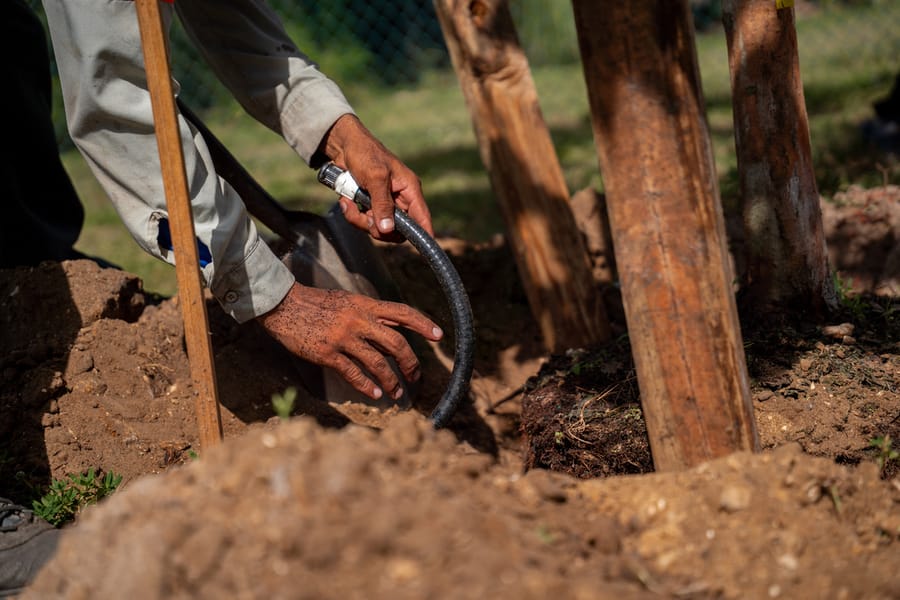 Canine Club Tree Planting_CD-8