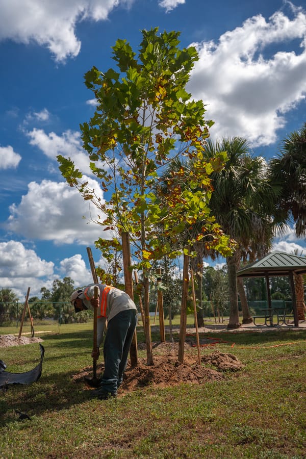 Canine Club Tree Planting_CD-10