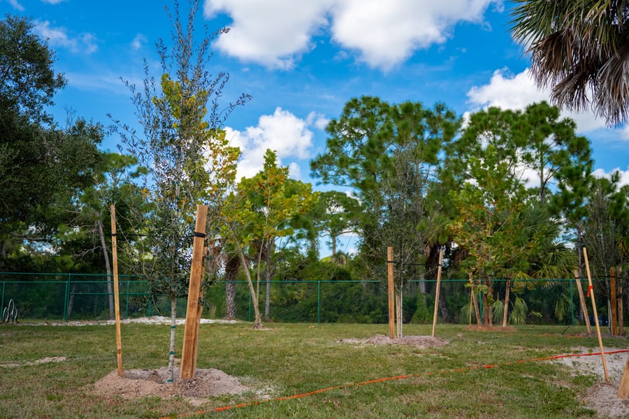 Canine Club Tree Planting_CD-22