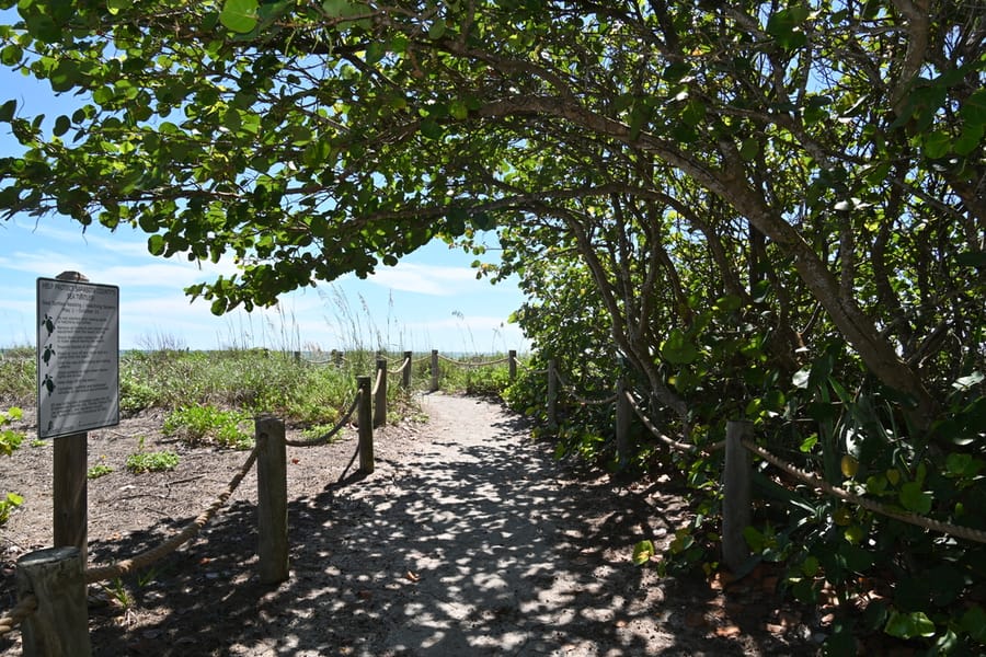 20240626 Turtle Beach Campground