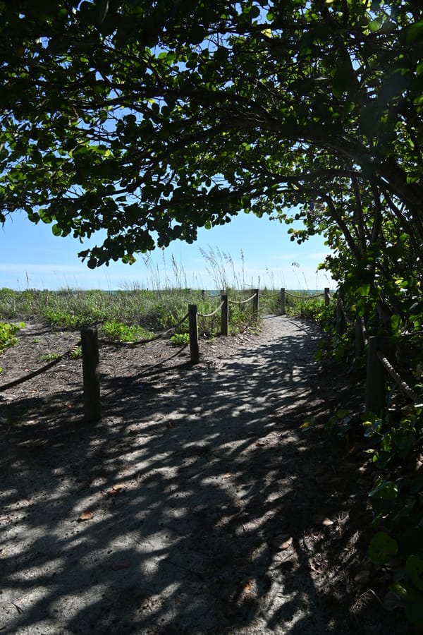 20240626 Turtle Beach Campground