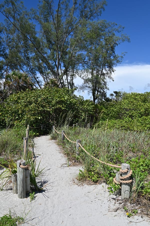 20240626 Turtle Beach Campground