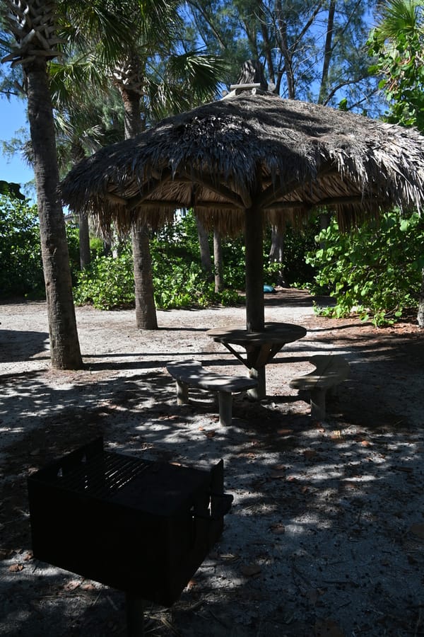 20240626 Turtle Beach Campground