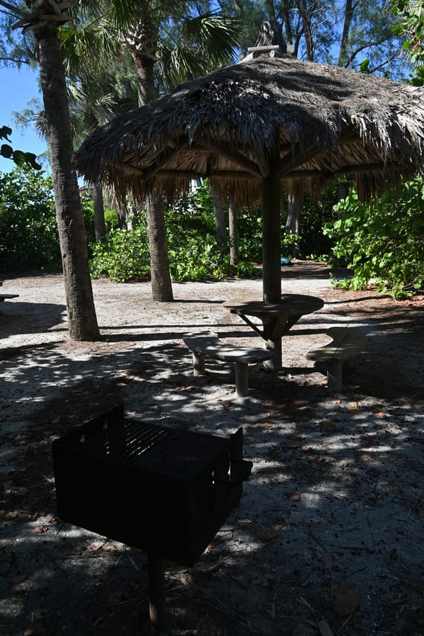 20240626 Turtle Beach Campground