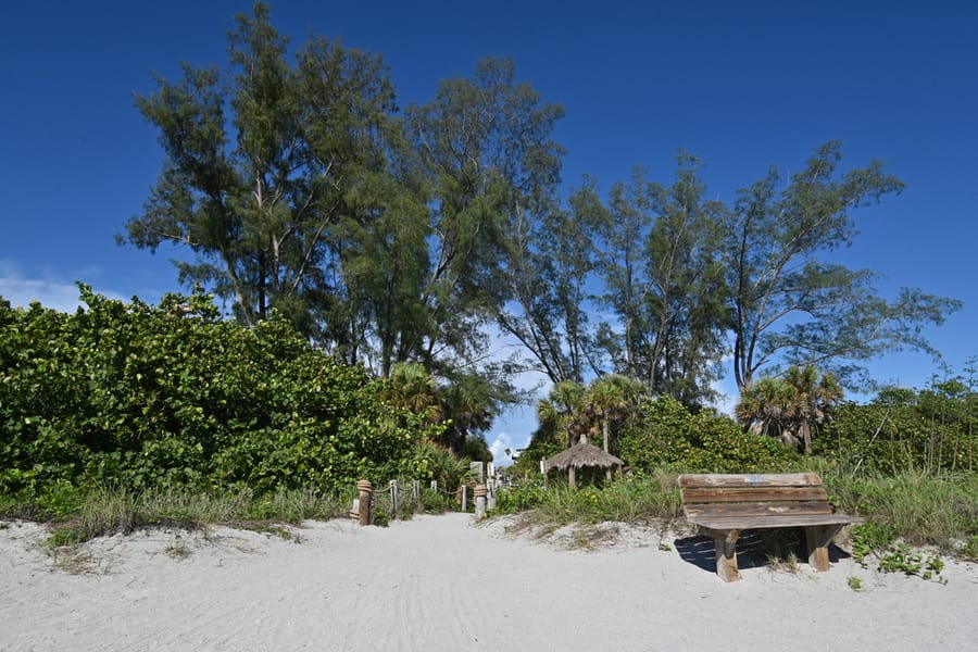 20240626 Turtle Beach Campground