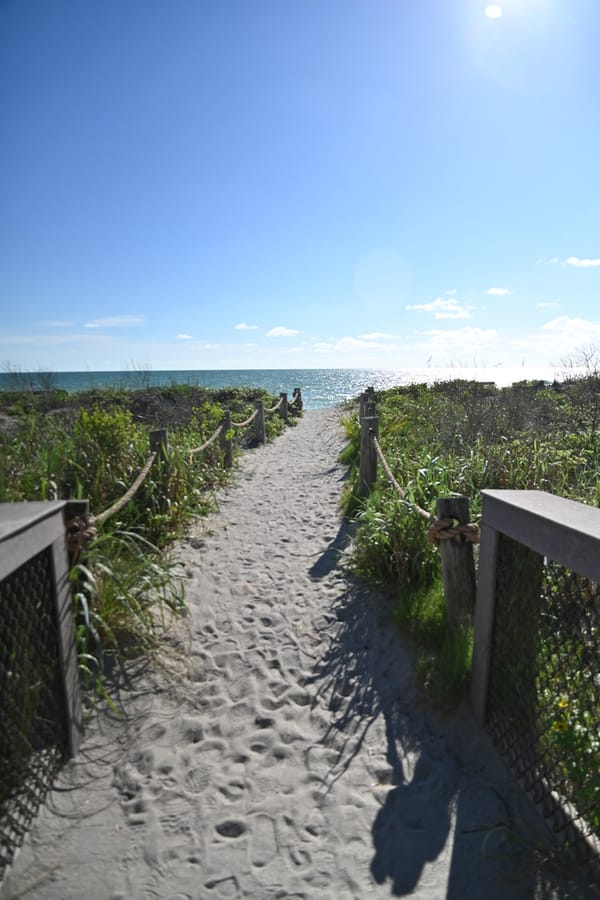 20240626 Turtle Beach Campground