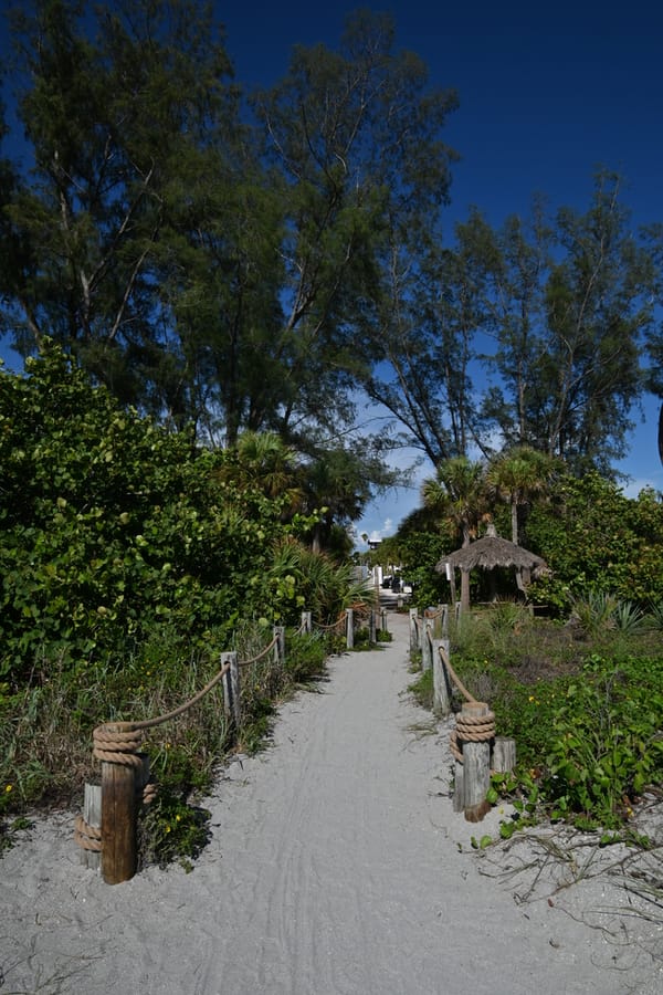 20240626 Turtle Beach Campground