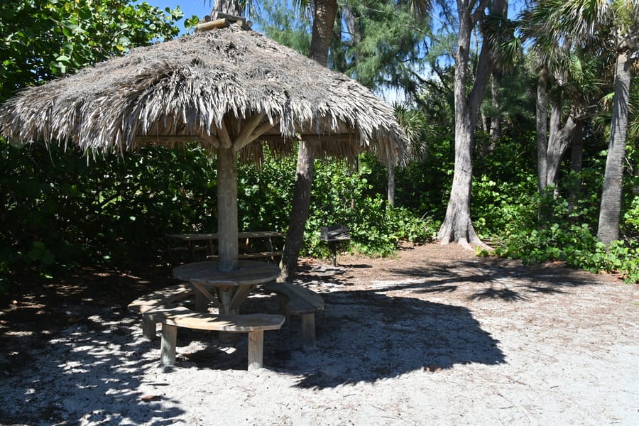 20240626 Turtle Beach Campground