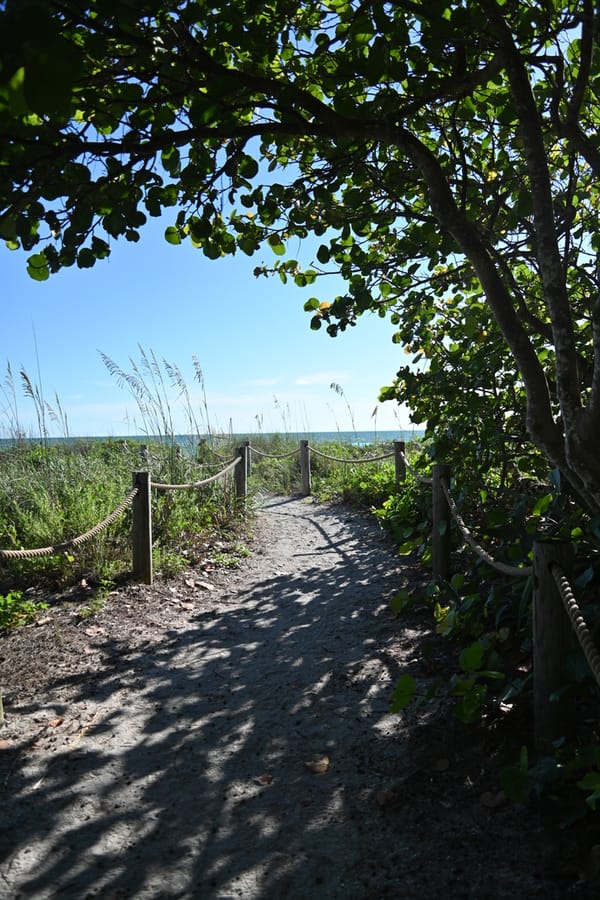 20240626 Turtle Beach Campground