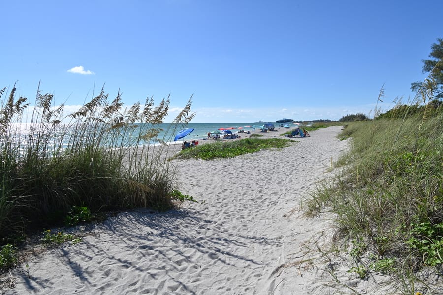 20240626 Turtle Beach Campground