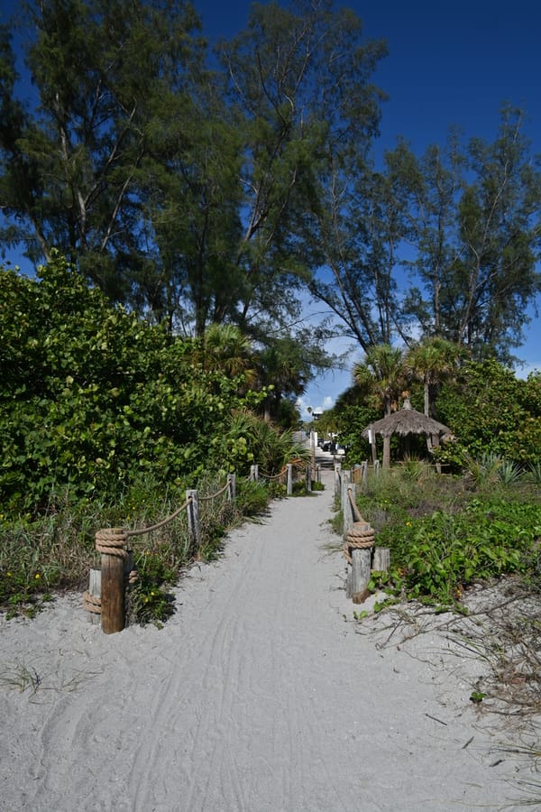 20240626 Turtle Beach Campground