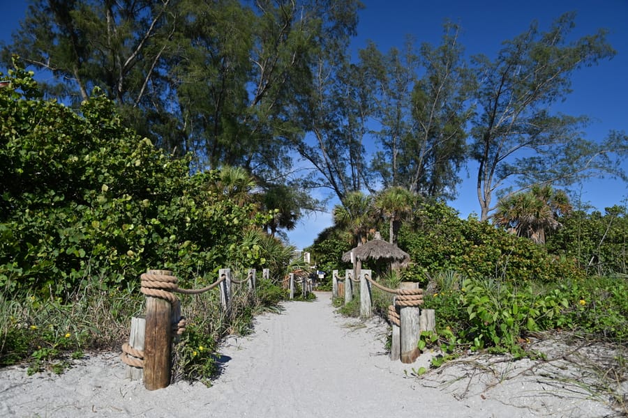 20240626 Turtle Beach Campground