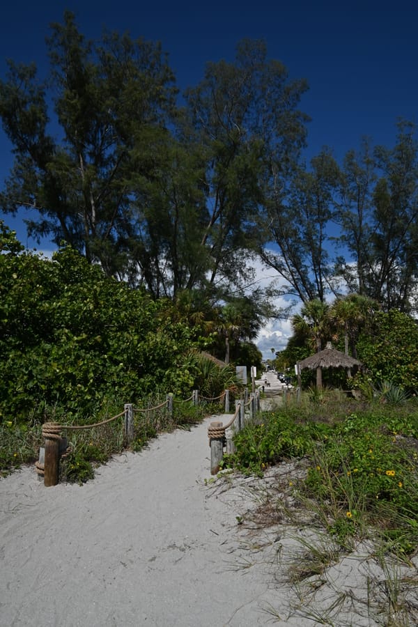 20240626 Turtle Beach Campground