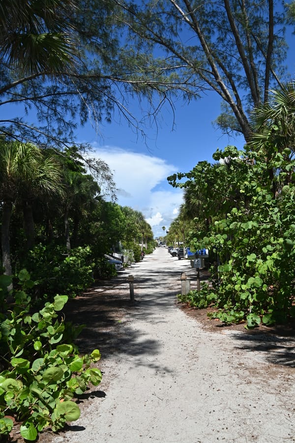 20240626 Turtle Beach Campground