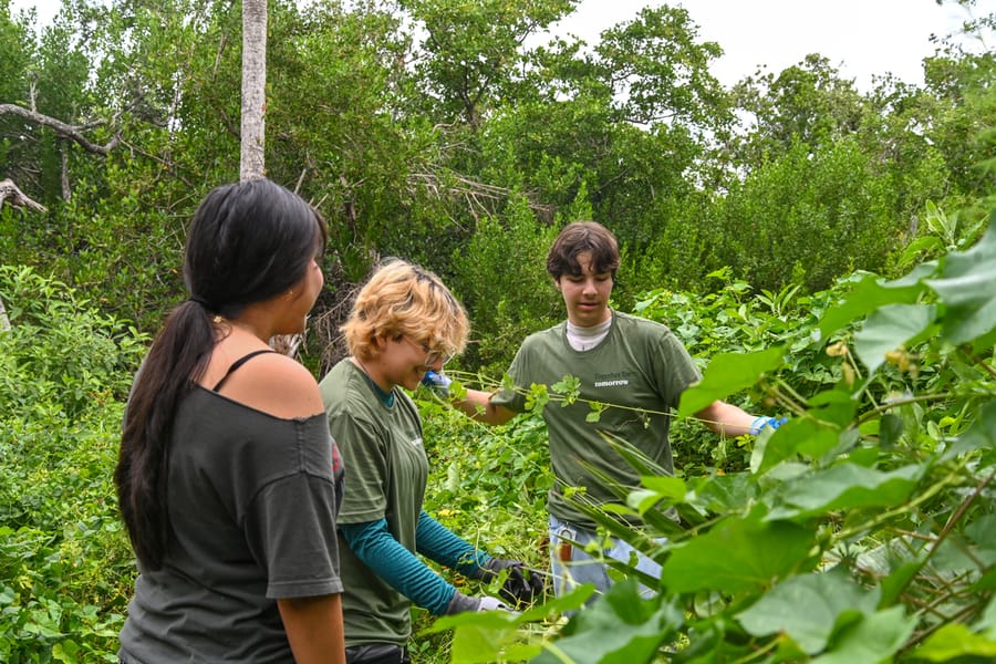 20250927_TACO-NPLD_0194_SD