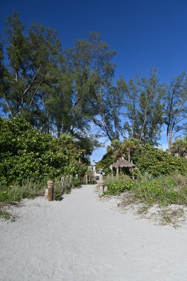 20240626 Turtle Beach Campground