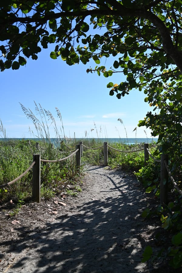 20240626 Turtle Beach Campground