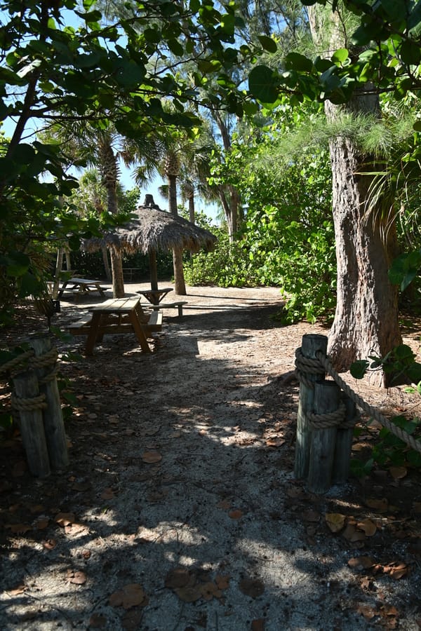 20240626 Turtle Beach Campground