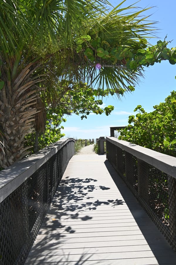 20240626 Turtle Beach Campground