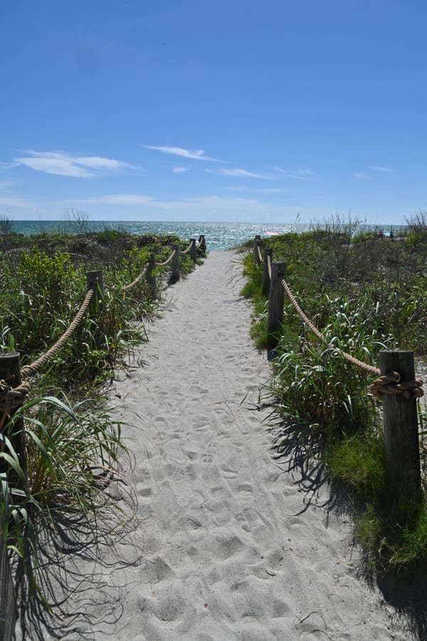 20240626 Turtle Beach Campground