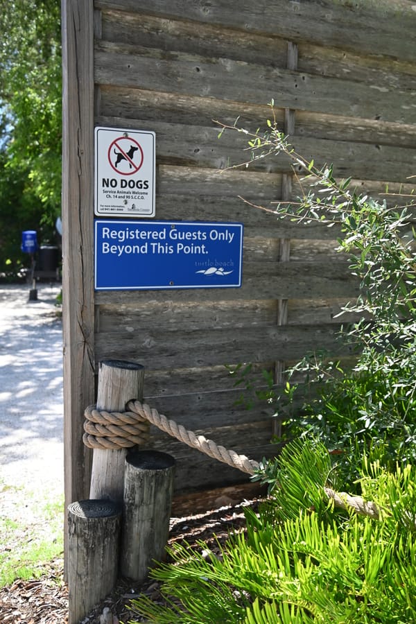 20240626 Turtle Beach Campground