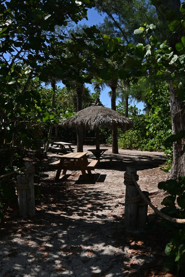 20240626 Turtle Beach Campground