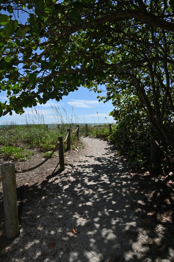 20240626 Turtle Beach Campground