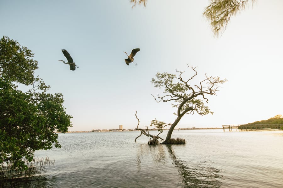 Quick Point Nature Preserve