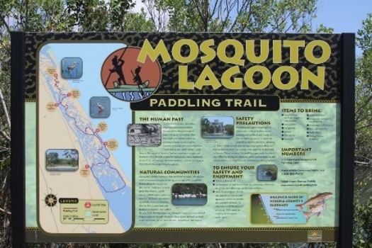 Mosquito Lagoon Paddling