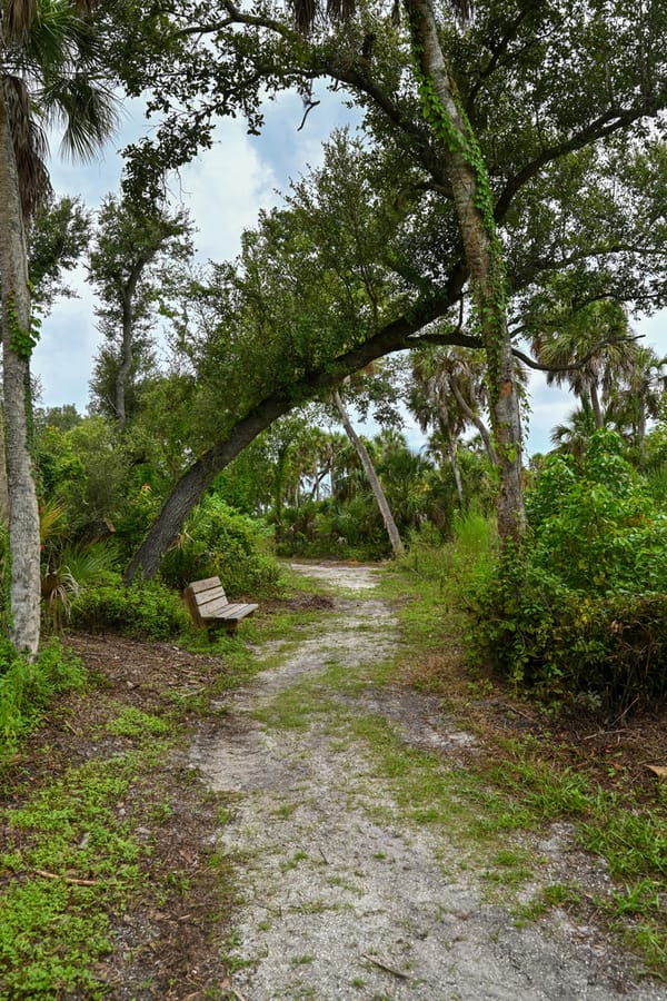 20250909_WoodmerePark_022_SD