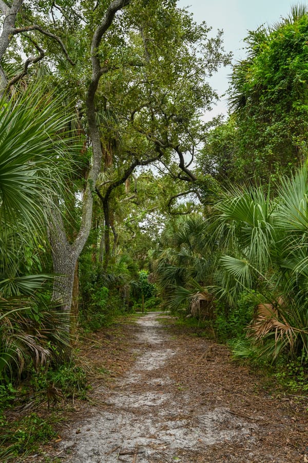 20250909_WoodmerePark_020_SD