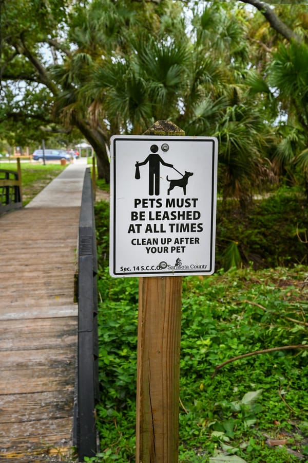 20250909_WoodmerePark_019_SD