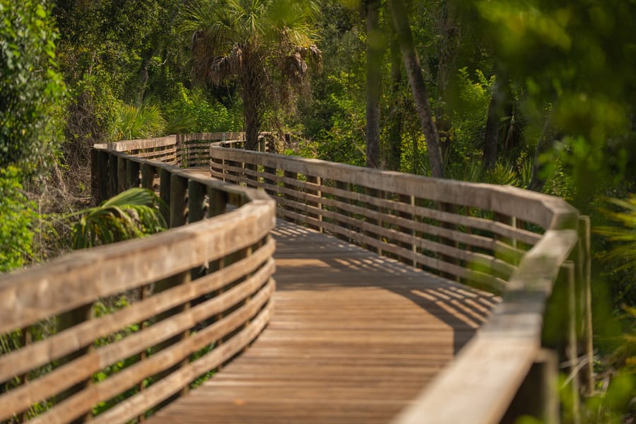 Wildlife_CD-8