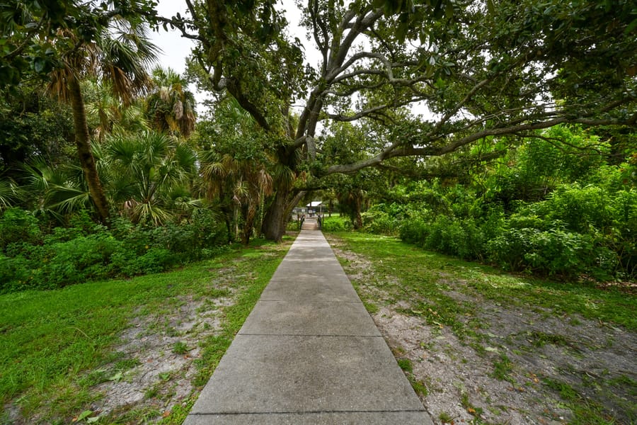 20250909_WoodmerePark_012_SD