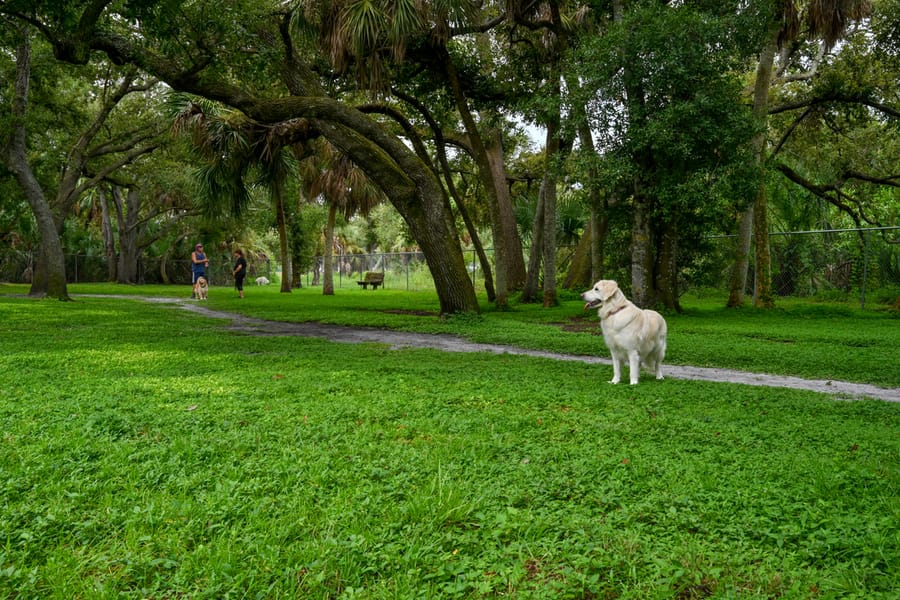 20250909_WoodmerePark_015_SD