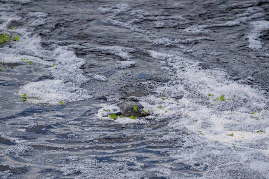 Water Treatment Facility Wildlife FLIP_09162025_CD-3