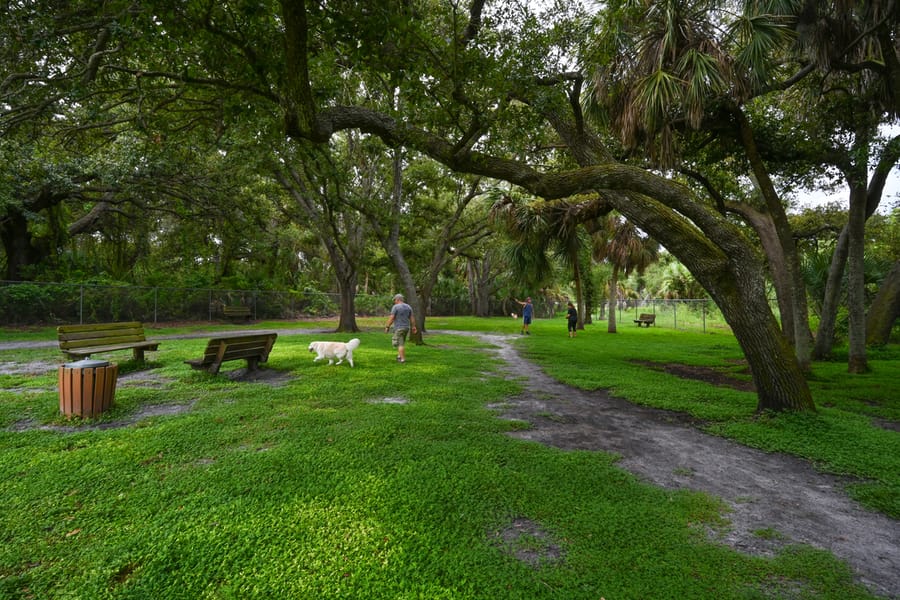 20250909_WoodmerePark_014_SD