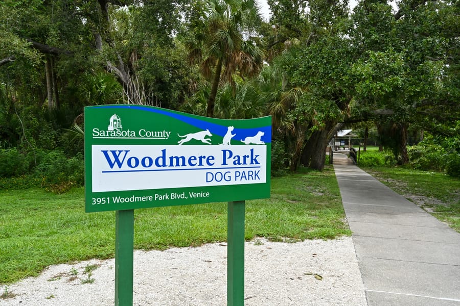 20250909_WoodmerePark_011_SD