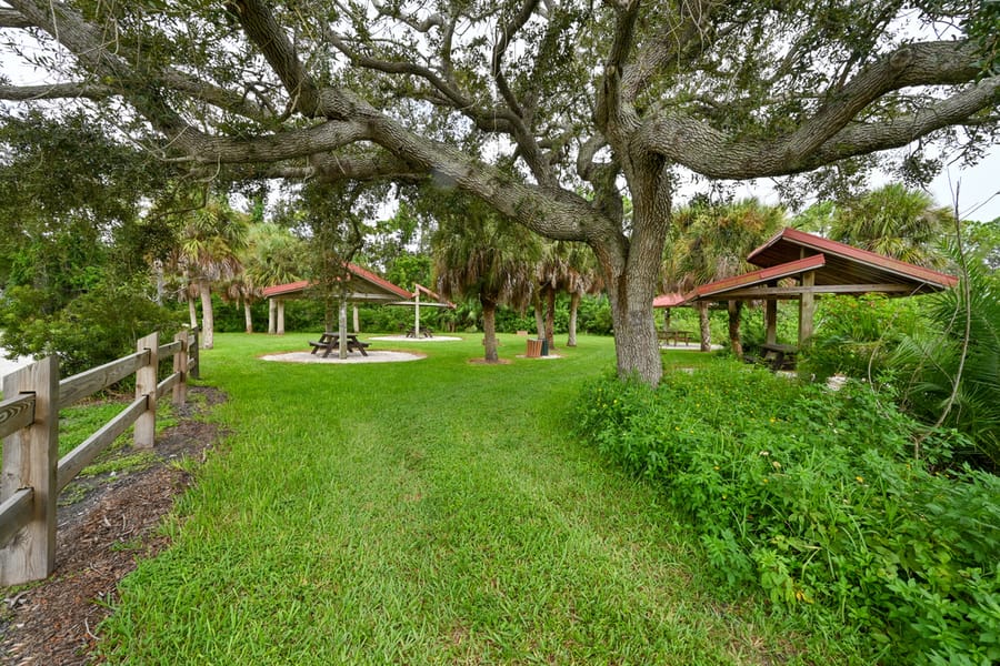 20250909_WoodmerePark_028_SD