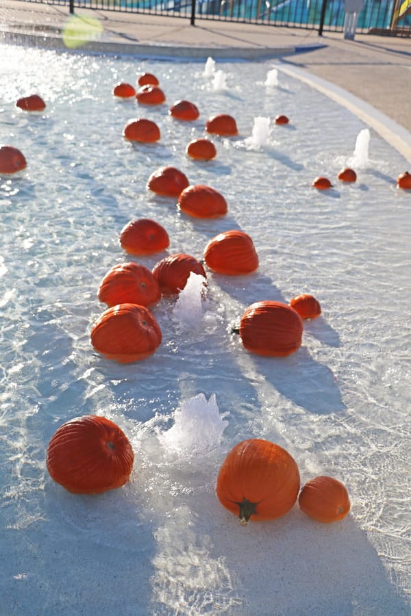 Pumpkin Plunge_20251018 (14)