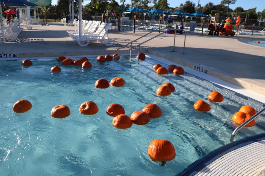 Pumpkin Plunge_20251018 (10)