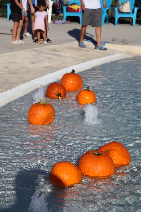 Pumpkin Plunge_20251018 (45)