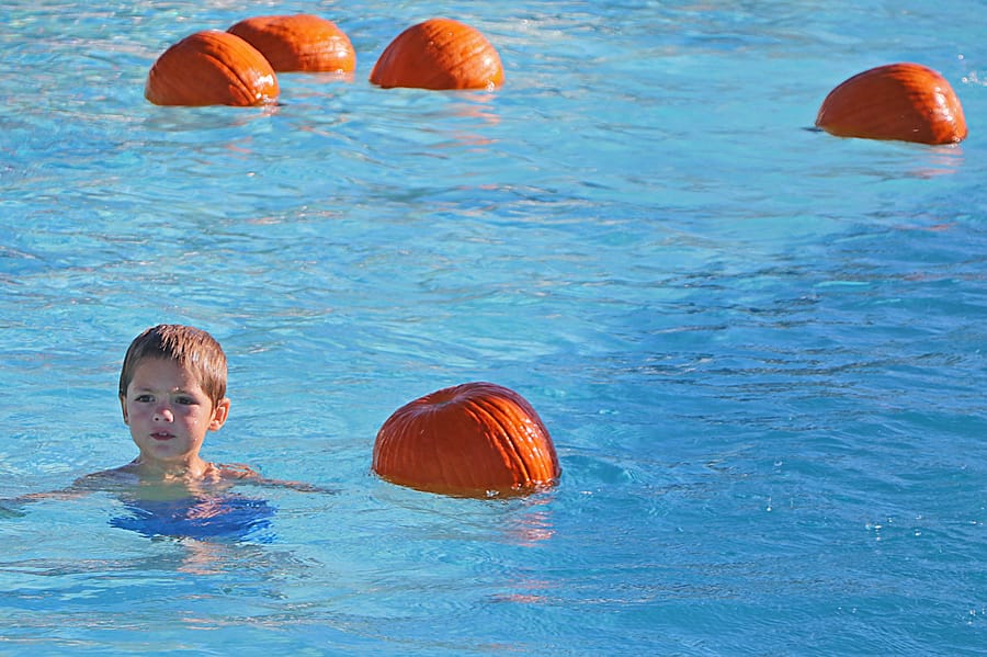 Pumpkin Plunge_20251018 (73)