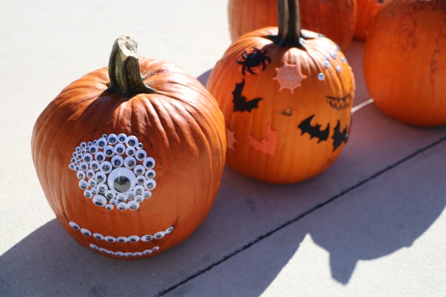 Pumpkin Plunge_20251018 (119)